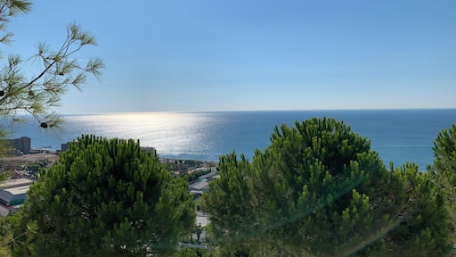 View from my room. Amazing