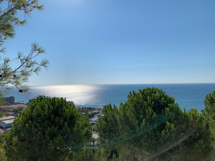 View from my room. Amazing