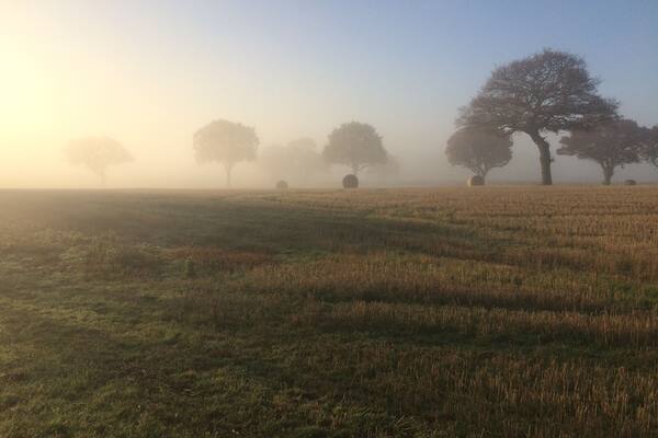 Early morning mist