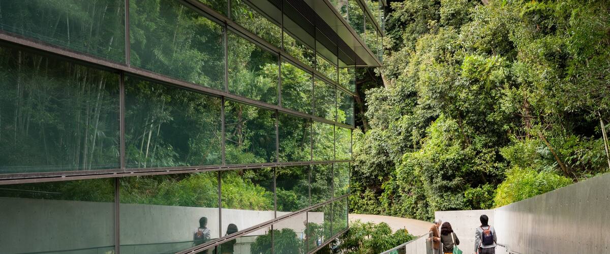 Saka no Ue no Kumo Museum as well as a couple