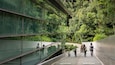 A modern building with large glass windows reflecting dense green foliage.