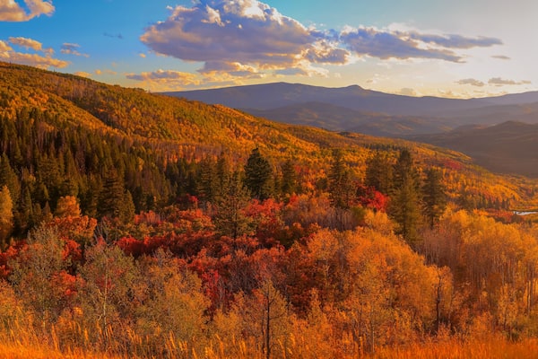 Panoramic view autumn landscape from highway 133 in Colorado