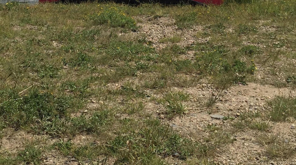 A small lake, but worth the drive. Perfect location to catch up with your thoughts! #waterlust