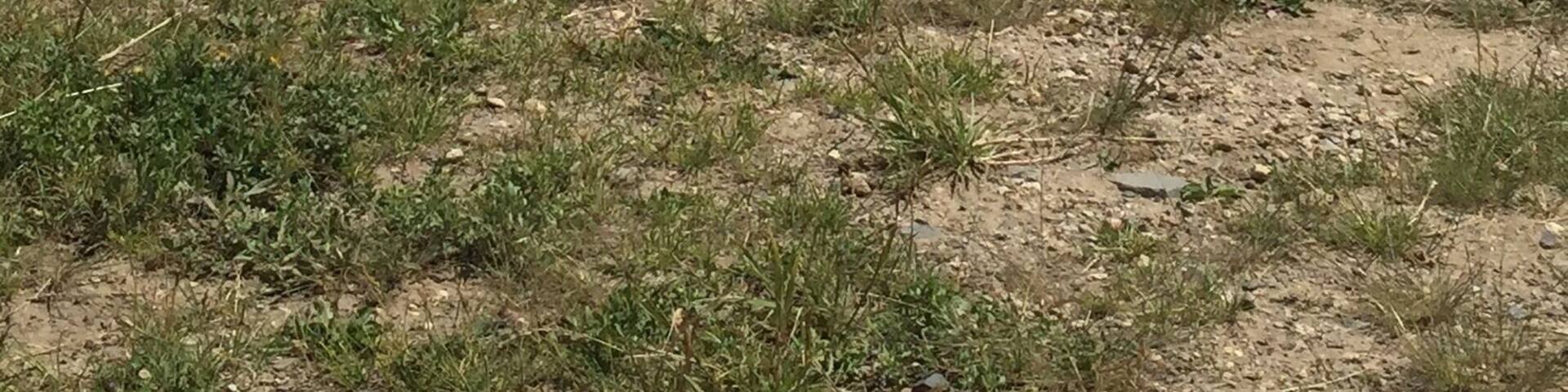 A small lake, but worth the drive. Perfect location to catch up with your thoughts! #waterlust