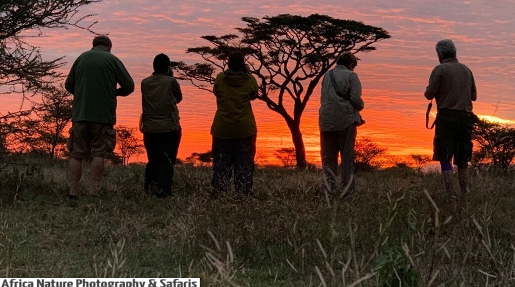 Sunrise Ndutu, South Serengeti.
