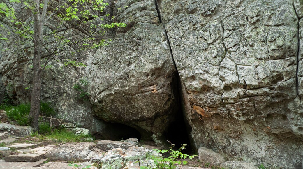 Robber's Cave State Park, Wilburton, Oklahoma, Stream in the mountains.