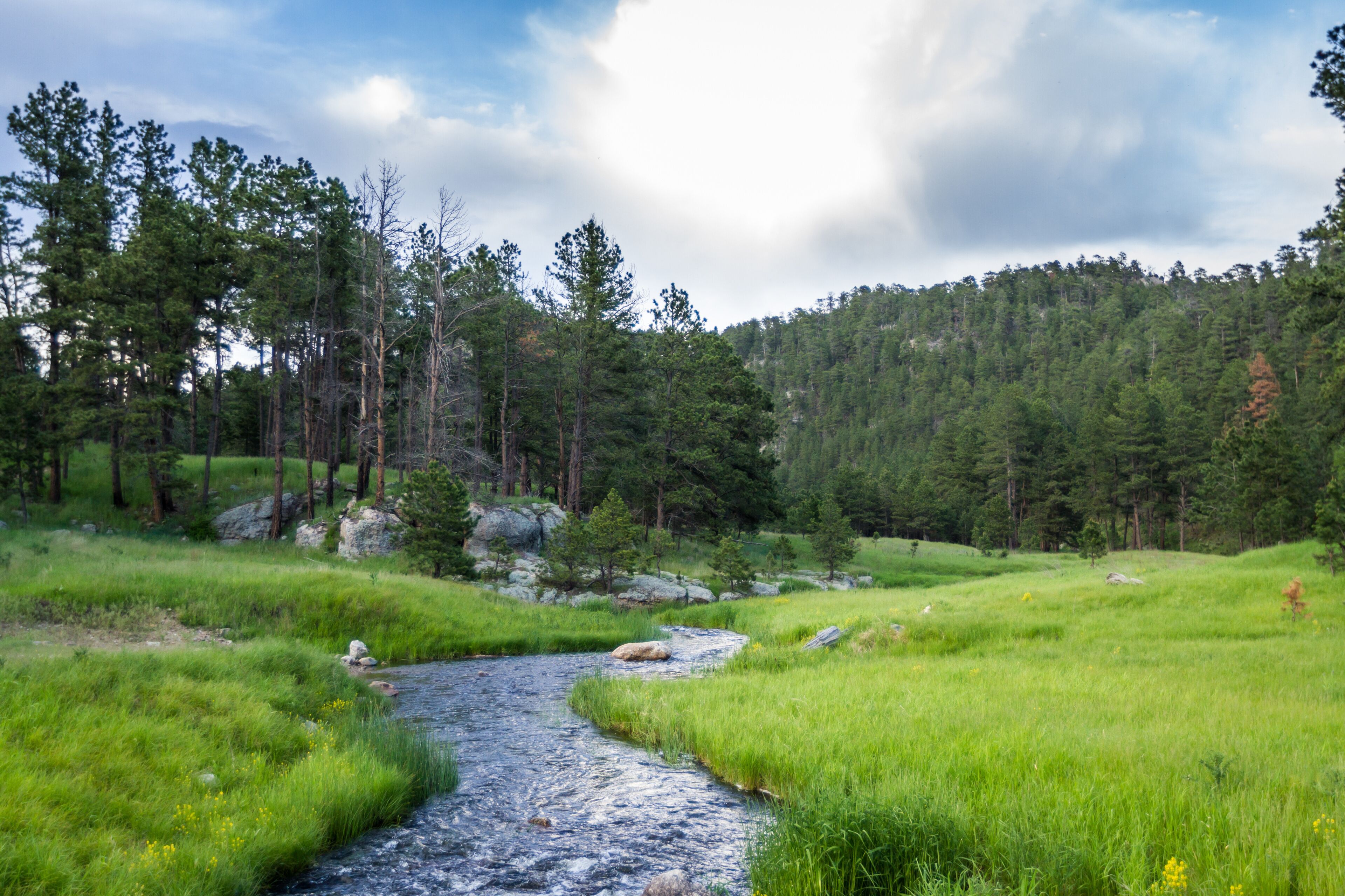 South Dakota landscape