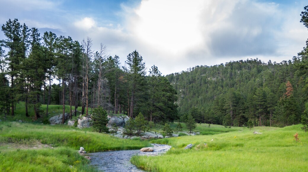 South Dakota landscape