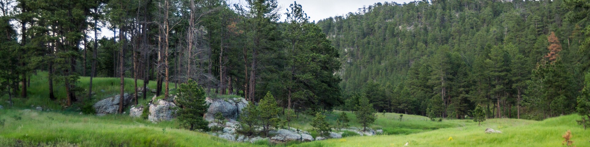 South Dakota landscape