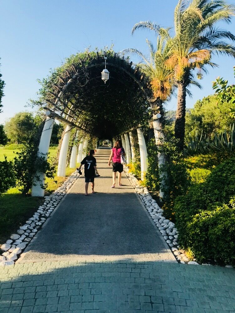 What an amazing family holiday in Turkey great resort very hot weather great service next trip Barcelona in September can not wait