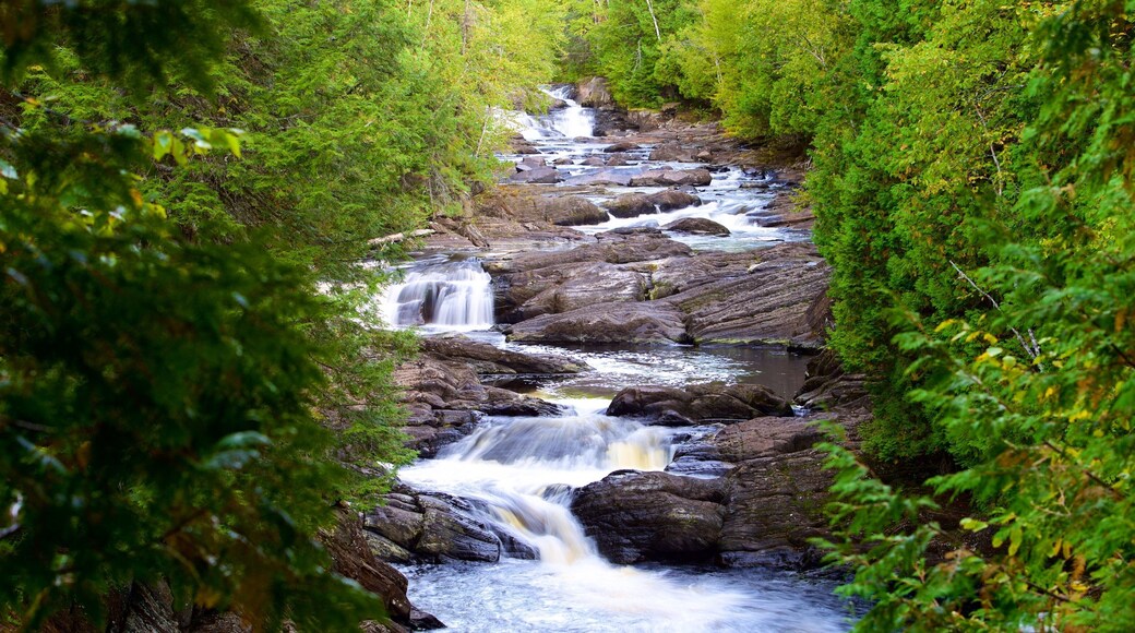 The Forks which includes rapids and rainforest