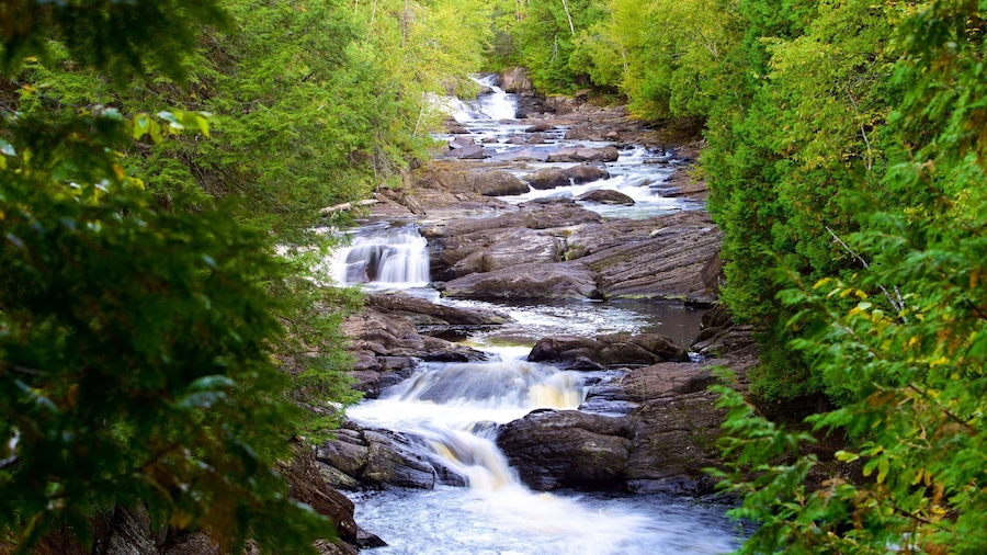 The Forks which includes rainforest and rapids