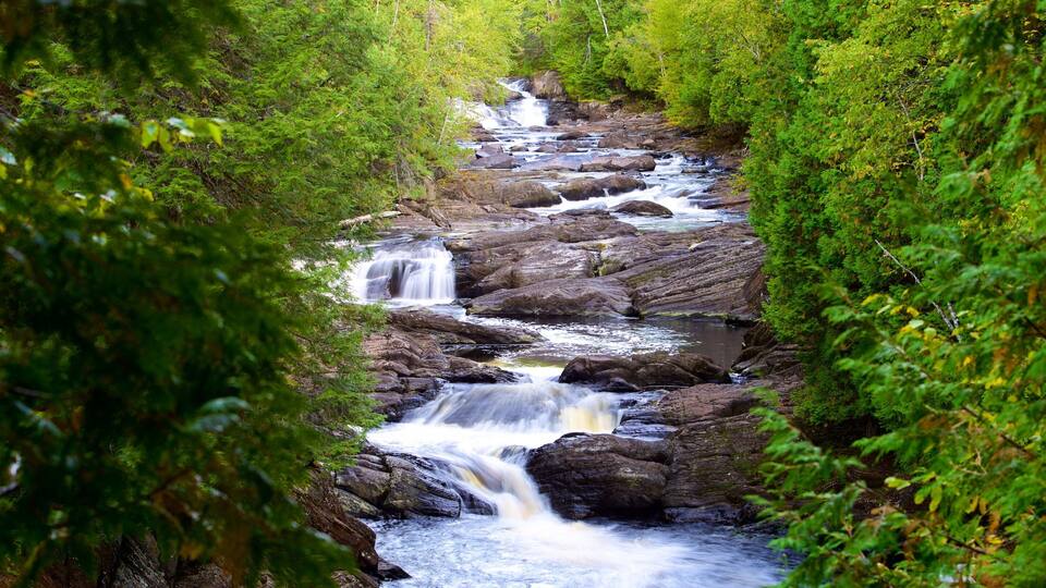 A cascading waterfall surrounded by dense green foliage.