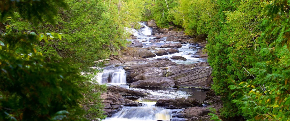 A cascading waterfall surrounded by dense green foliage.