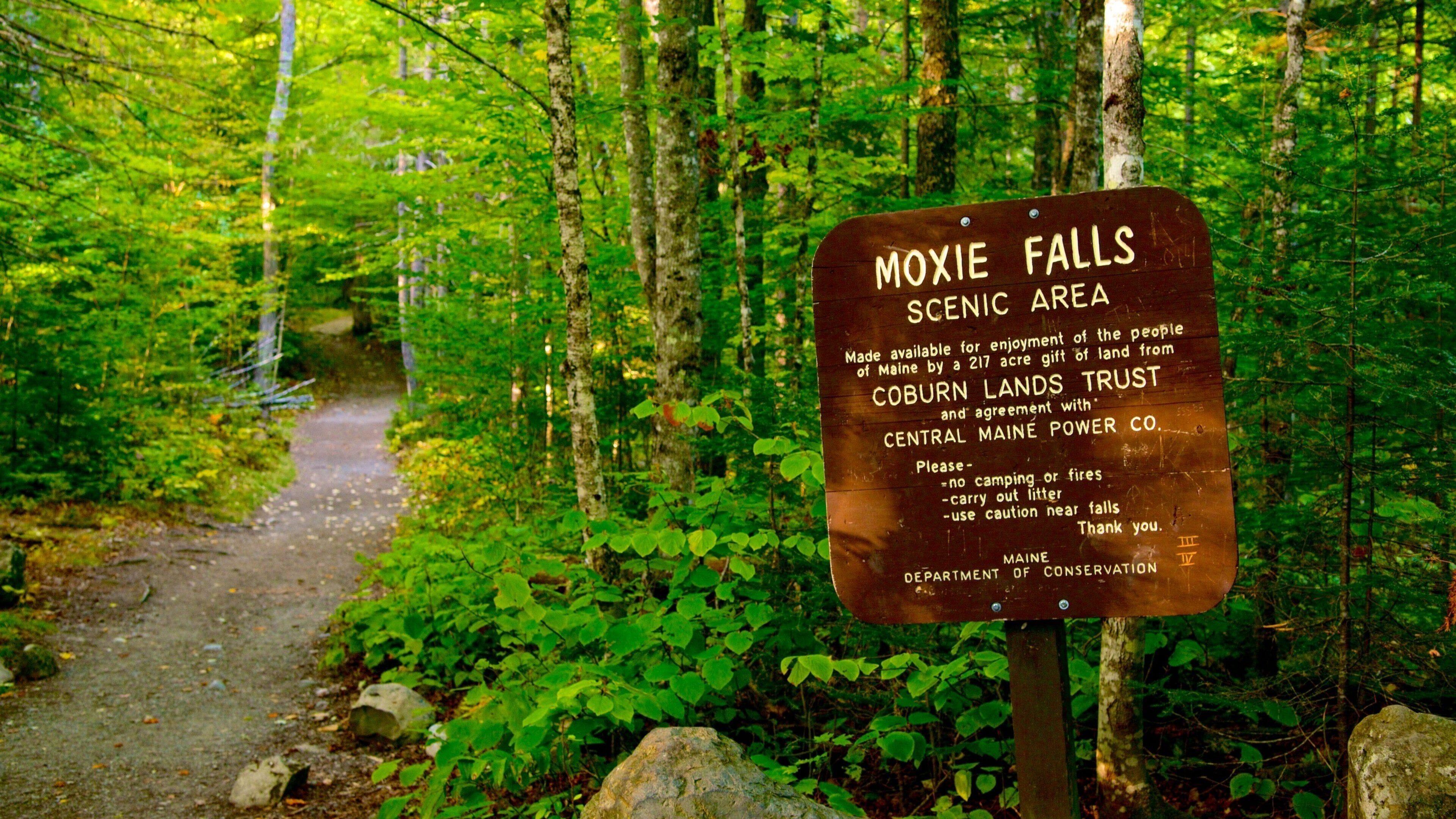 The Forks inclusief bos en bewegwijzering
