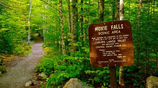 The Forks featuring forests and signage