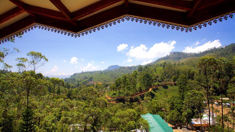 A lush green valley with terraced fields, a winding road, and a mountain in the background.