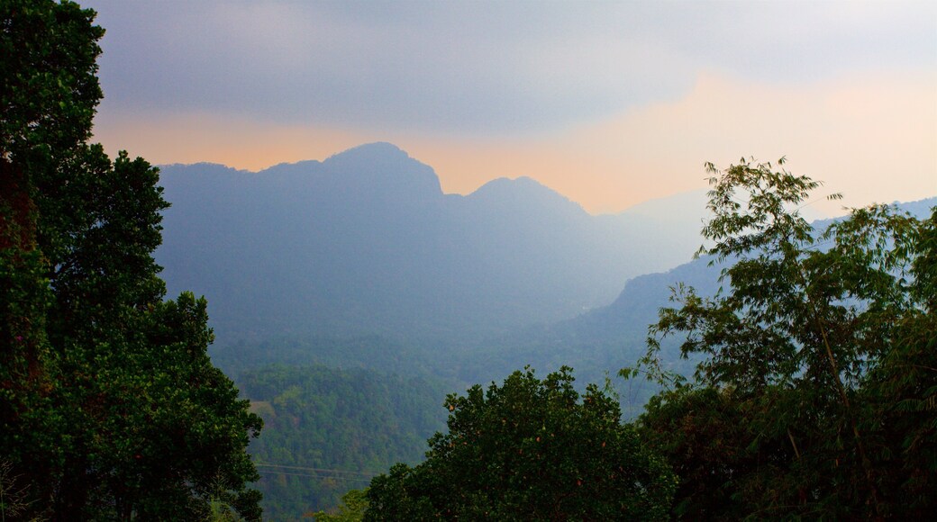 ์ค๋ฆฌ๋์นด ์ ๋ณด์ฌ์ฃผ๋ ์๊ฐ, ์ผ๋ชฐ ๊ณผ ํ์ ํ ํ๊ฒฝ