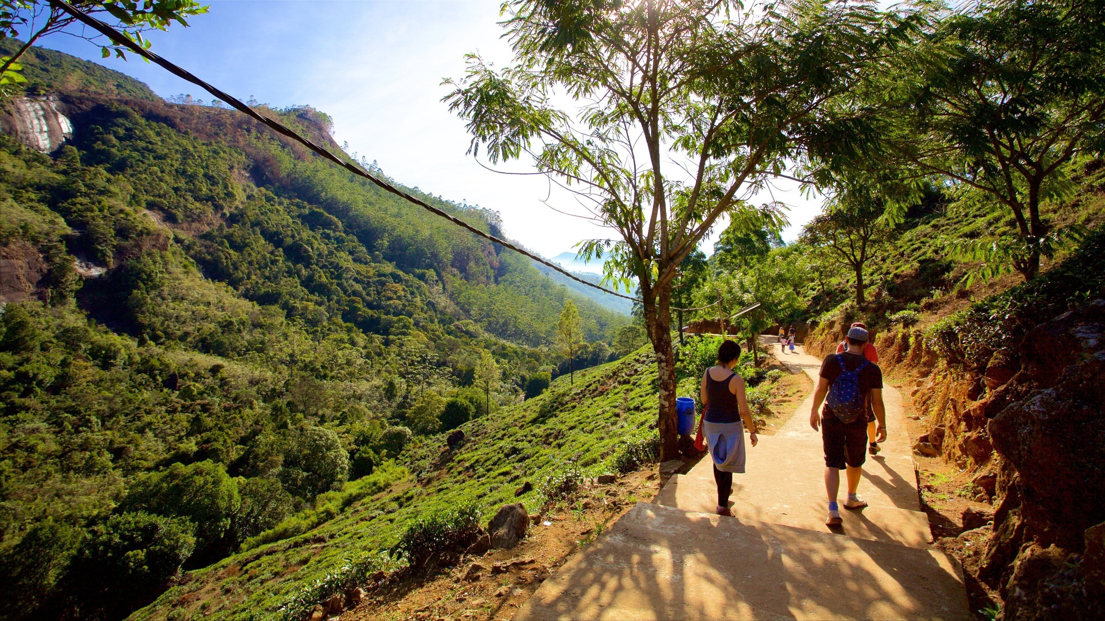 Sri Lanka qui includes randonnée ou marche à pied et scènes tranquilles aussi bien que couple