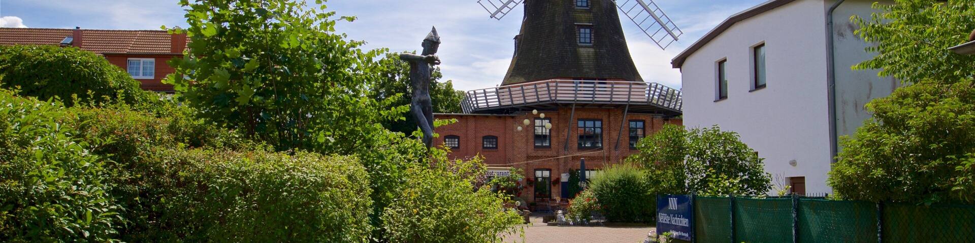 Meyers Mühle welches beinhaltet Windmühle