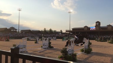 This top of the line Equestrian Center is a little over a year old. It is already housing big competitors and is sponsored by Rolex. Right now it is free during competition season, but it probably won't be for long.