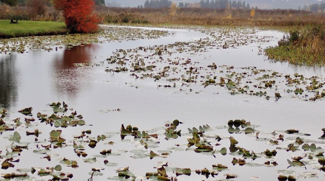 One of the prettiest private parks we’ve stayed in. Full hookups and big rig friendly. #camping #washingtonstate