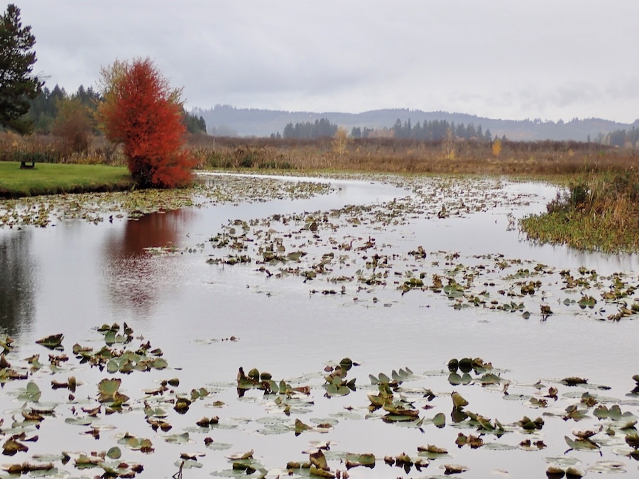 One of the prettiest private parks we’ve stayed in. Full hookups and big rig friendly. #camping #washingtonstate