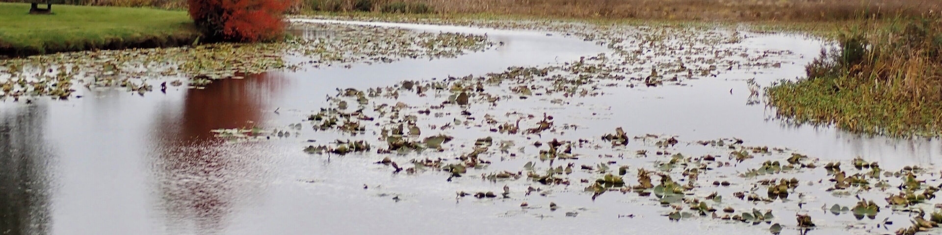 One of the prettiest private parks we’ve stayed in. Full hookups and big rig friendly. #camping #washingtonstate