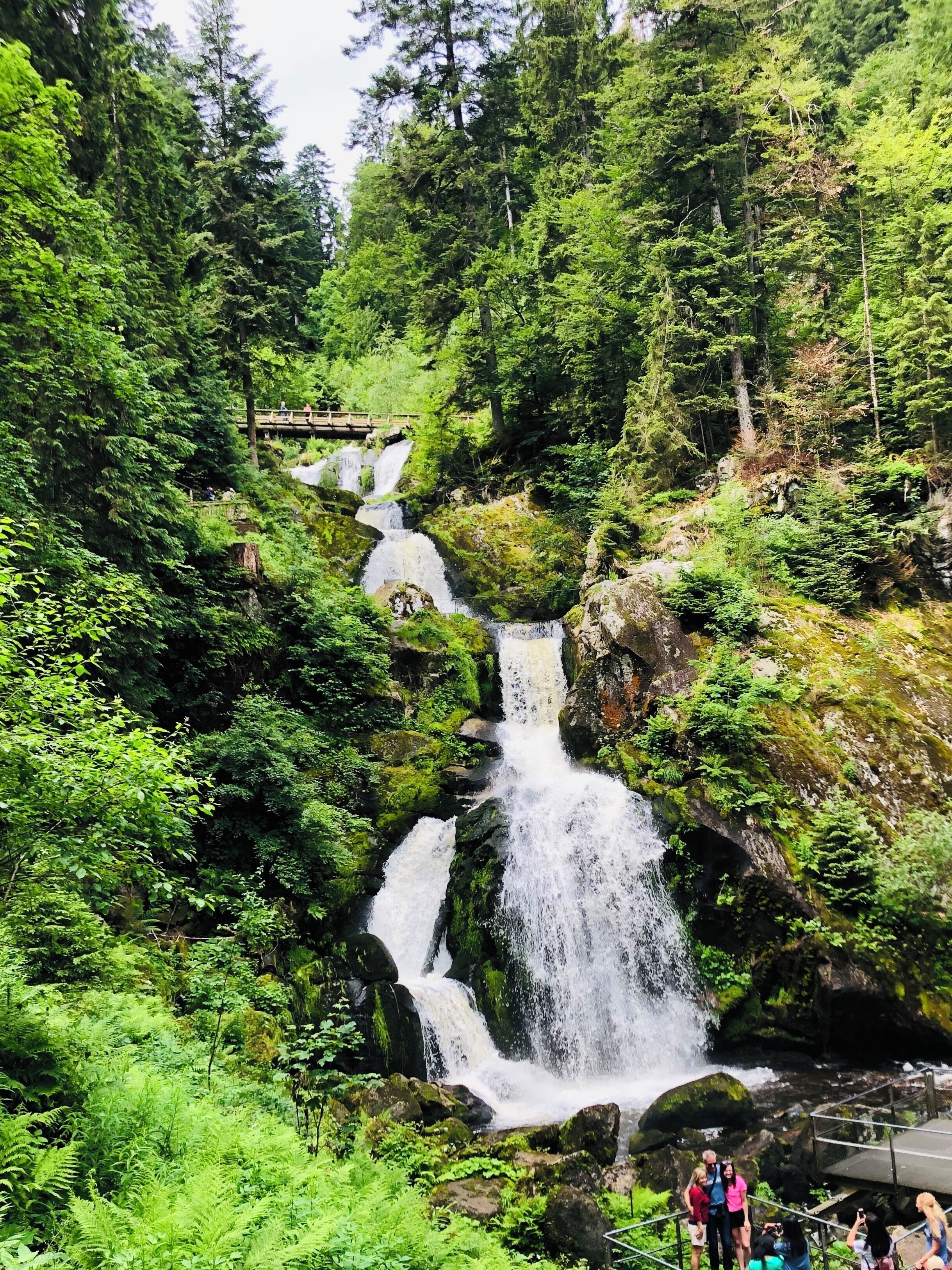 Germany's highest waterfalls come down the mountains on the outskirts of Triberg. Foaming and roaring the water plunges 163 meters down the river called “Gutach”. On the paths along the seven stages, you will find a magnificent spectacle of nature.