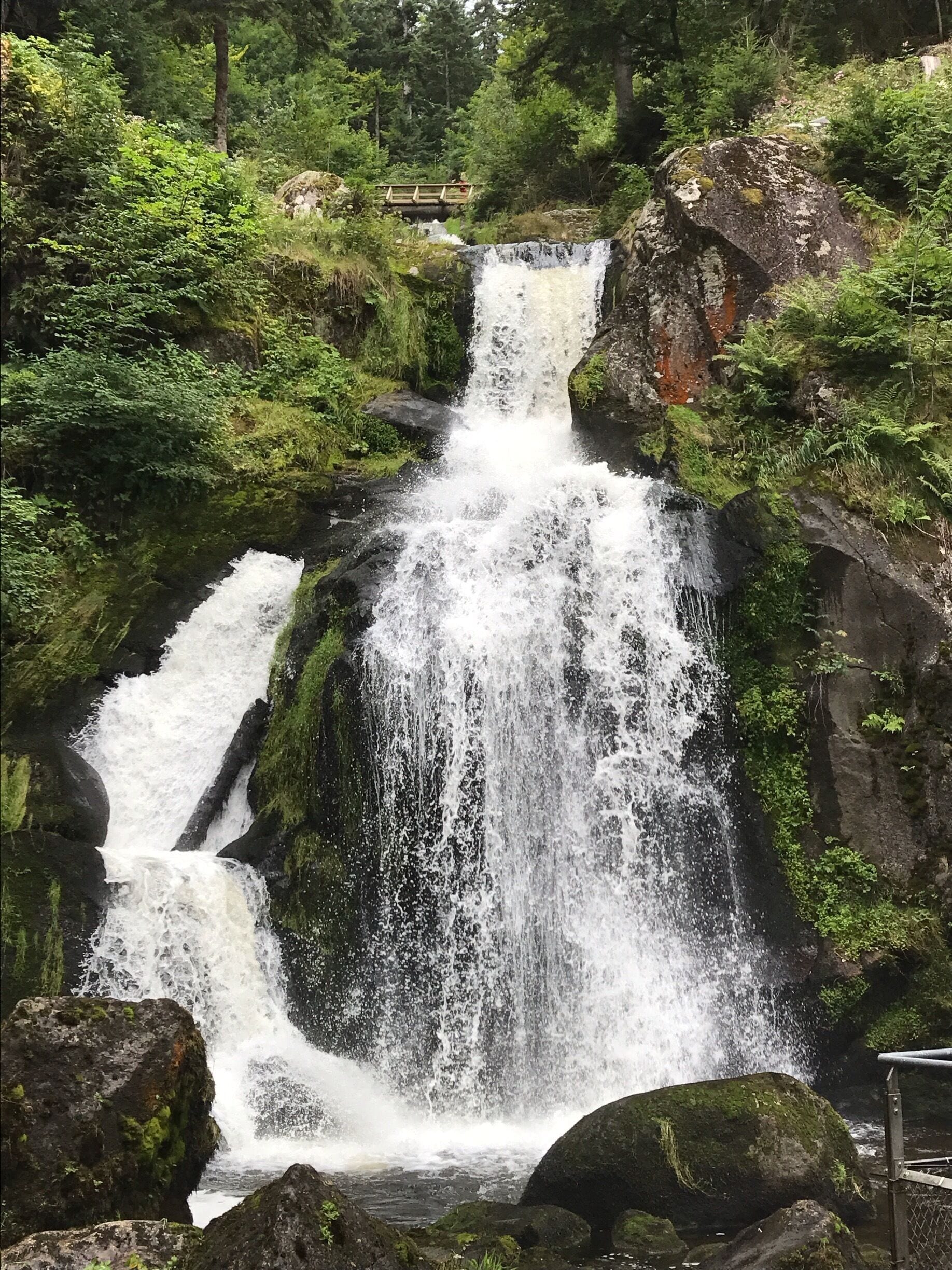 There are several hikes along the waterfall, so you can choose the level of intensity or length that meets your needs. When you're finished be sure to check out the World's Largest Cuckoo Clock that's nearby. 
