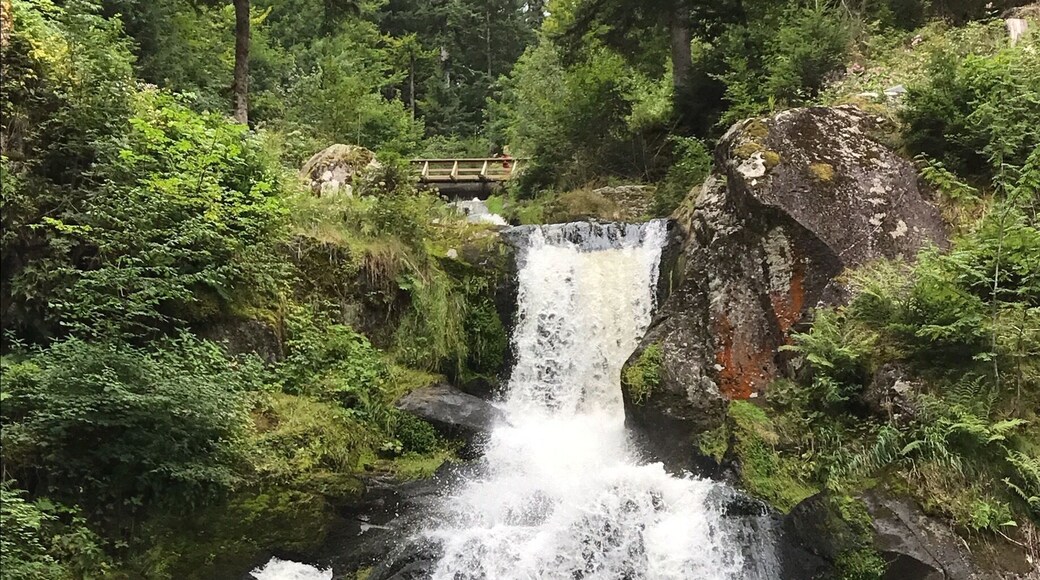 There are several hikes along the waterfall, so you can choose the level of intensity or length that meets your needs. When you're finished be sure to check out the World's Largest Cuckoo Clock that's nearby.