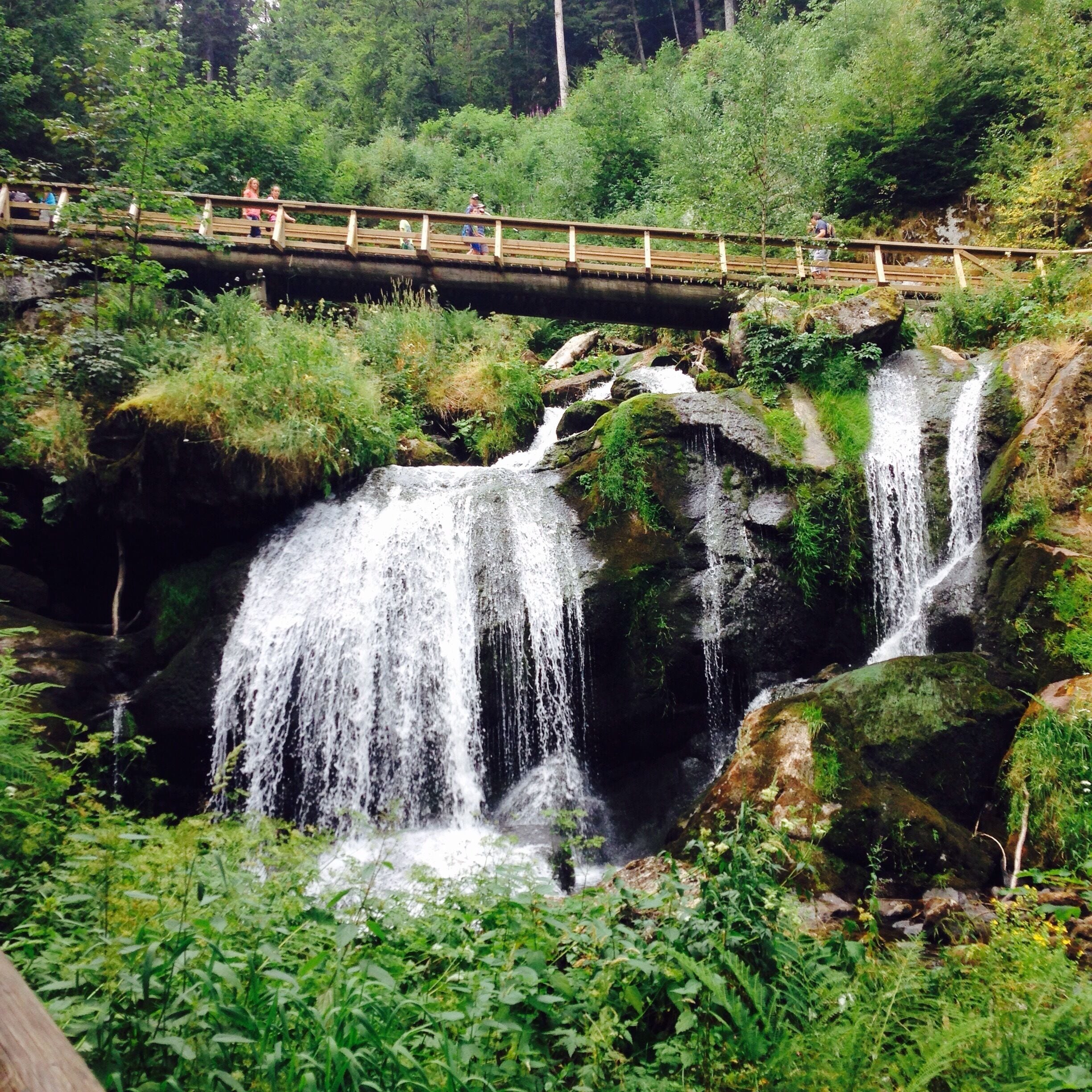 Triberg Waterfall, Germany 

The highest waterfall in Germany