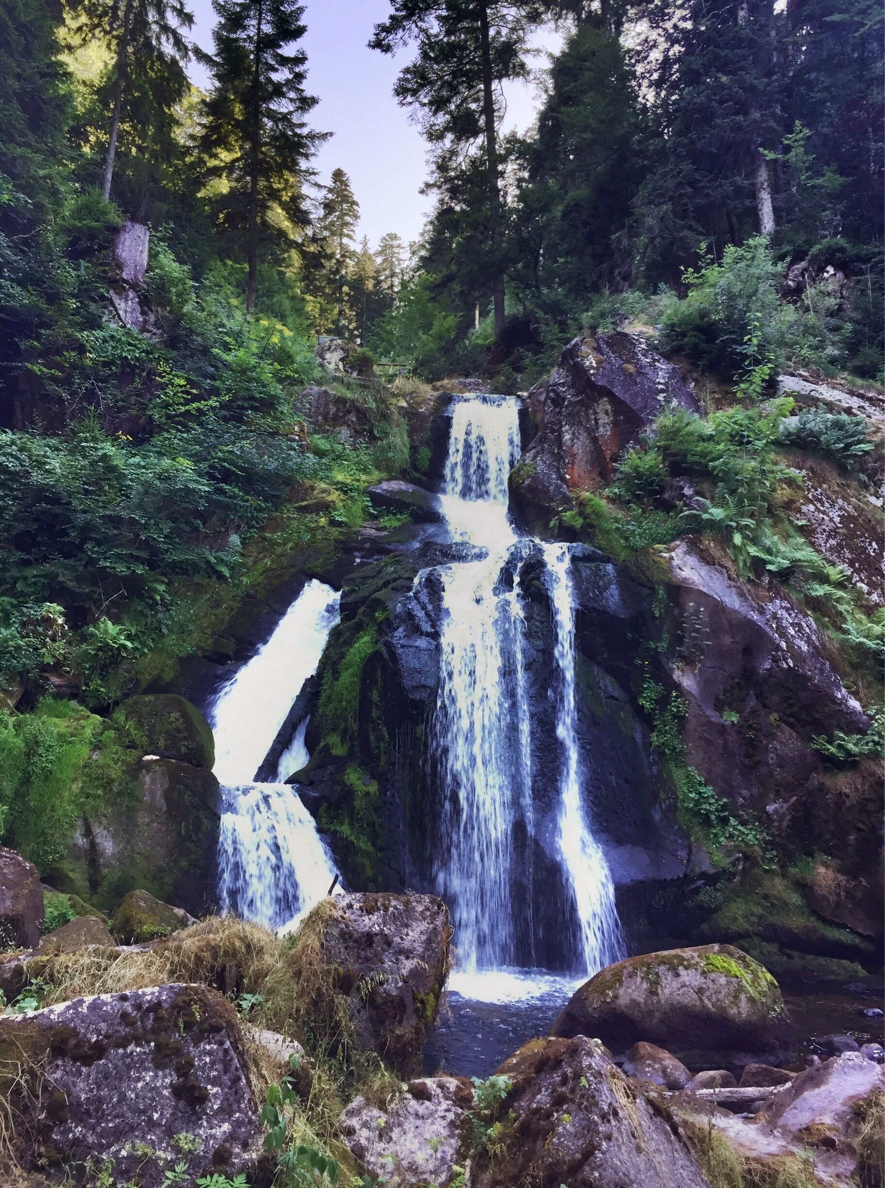 Uma cascata em vários níveis, cercada por floresta densa e terreno rochoso.