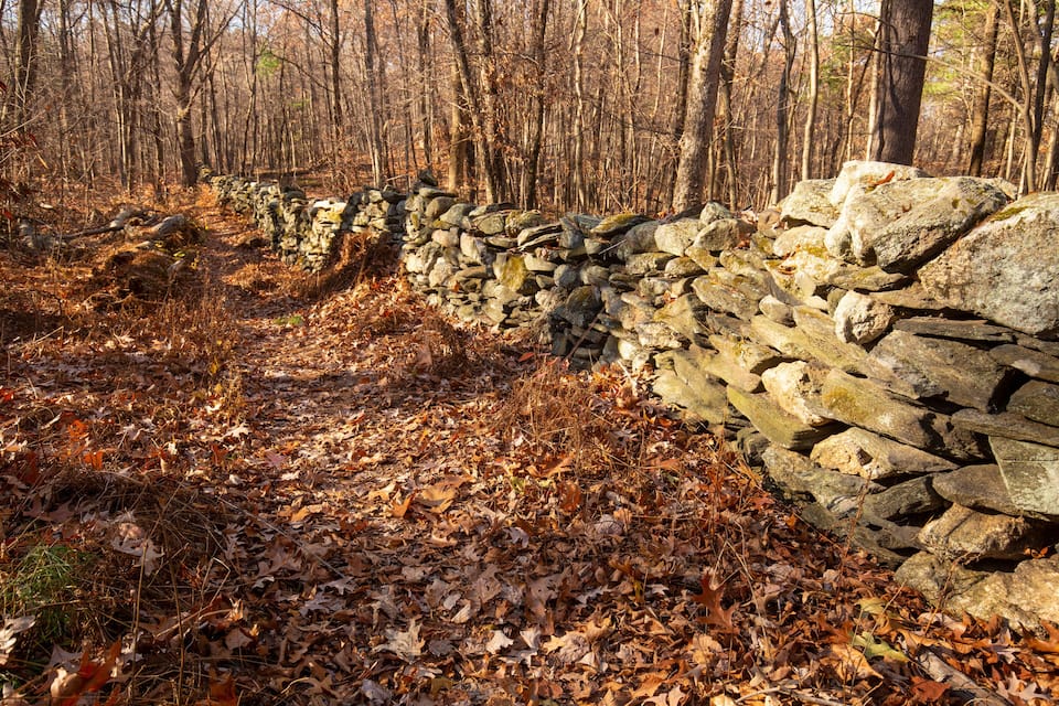 Um muro de pedra numa floresta com folhas caídas.