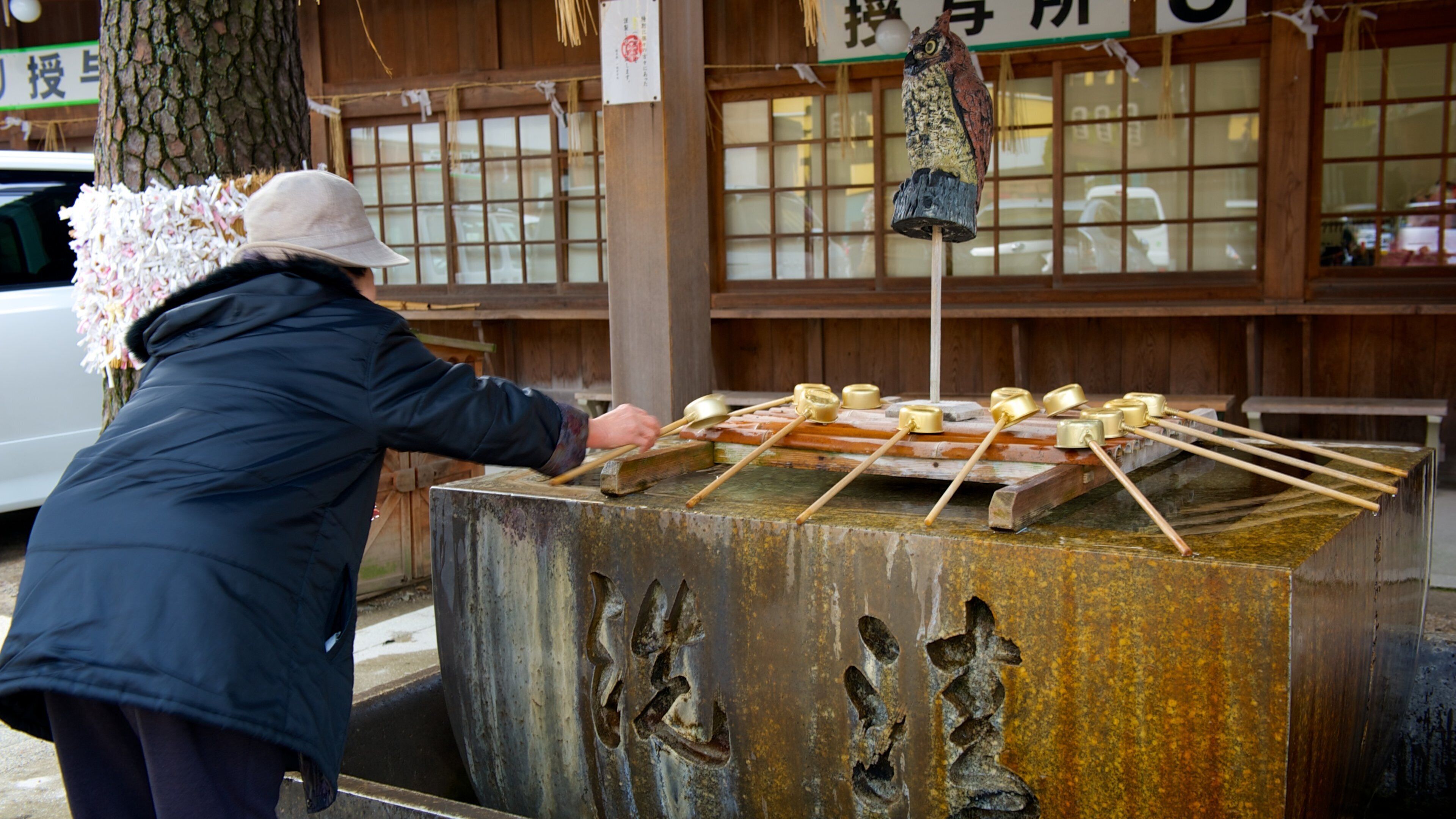 Temple Yasaka-jinja montrant temple ou lieu de culte et aspects religieux aussi bien que femme