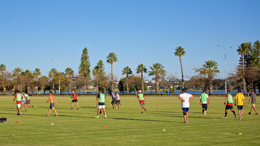 Langley Park showing a sporting event and a garden as well as a small group of people