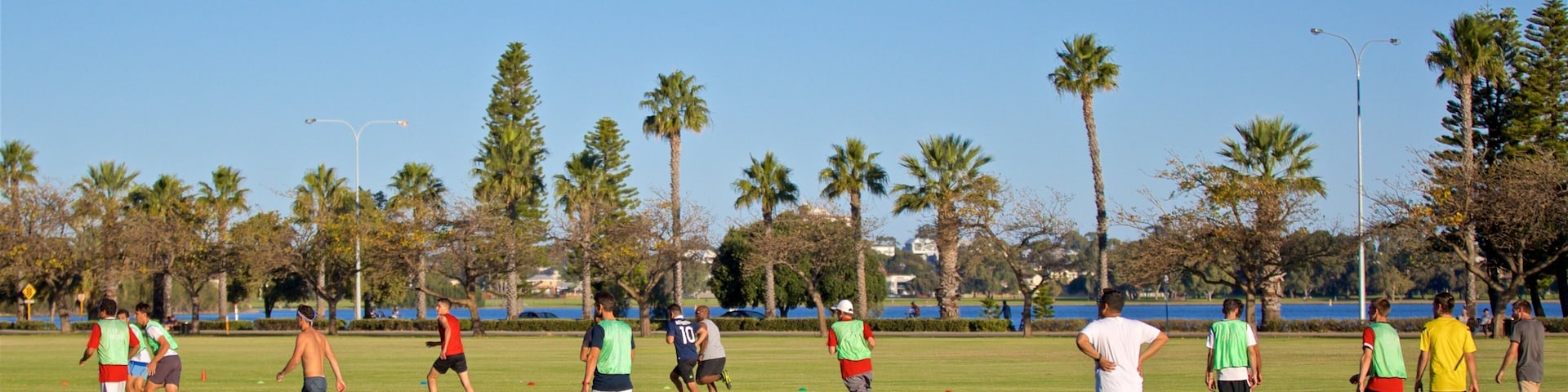 Langley Park showing a sporting event and a garden as well as a small group of people