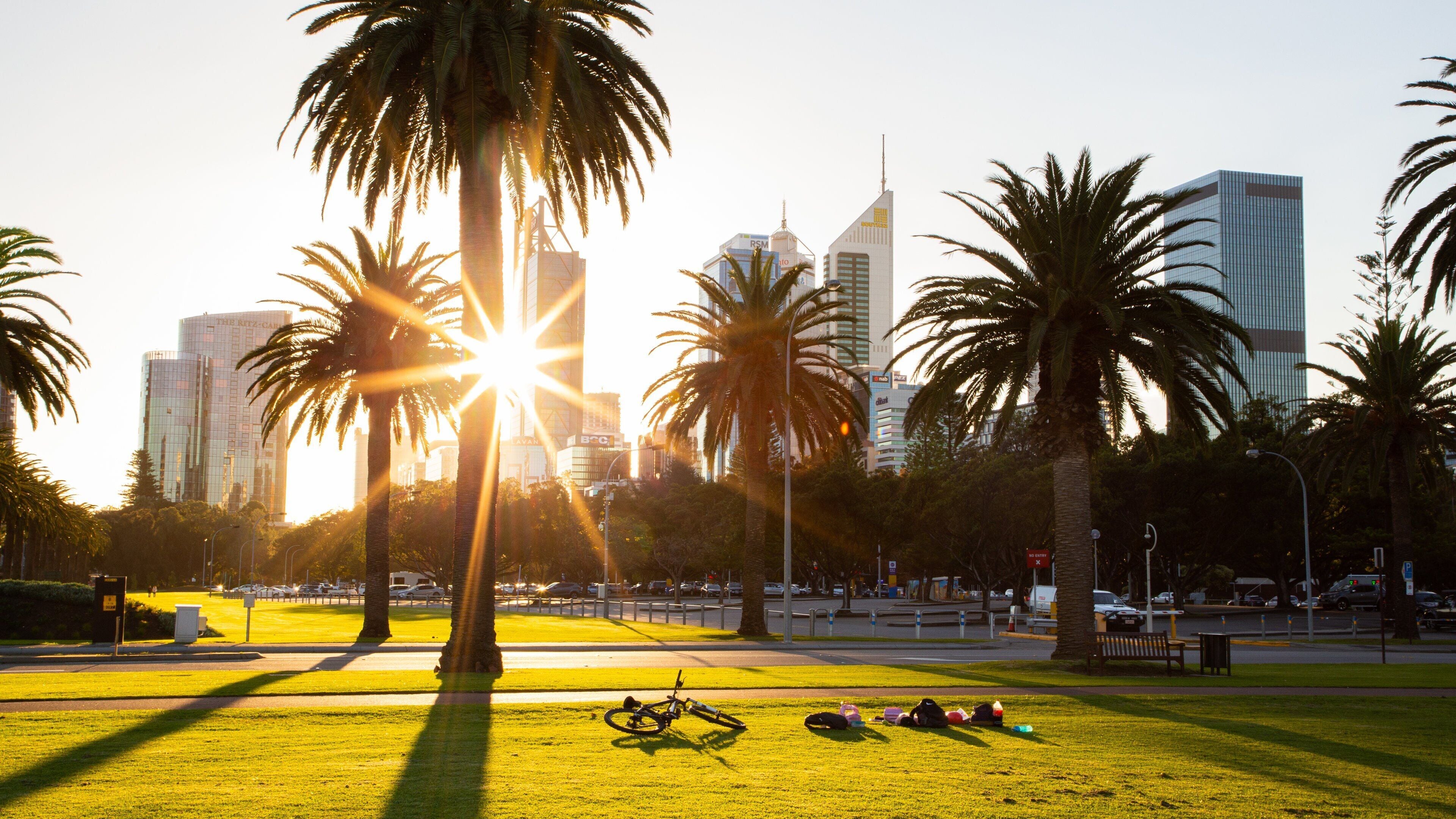 Langley Park showing a city, a garden and a sunset