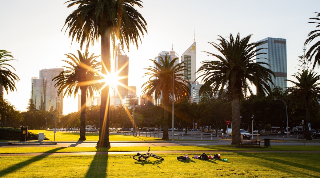 Langley Park showing a city, a garden and a sunset