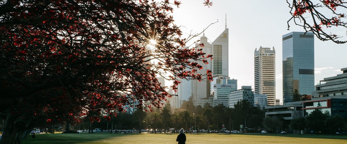 Langley Park which includes a garden, a sunset and a city