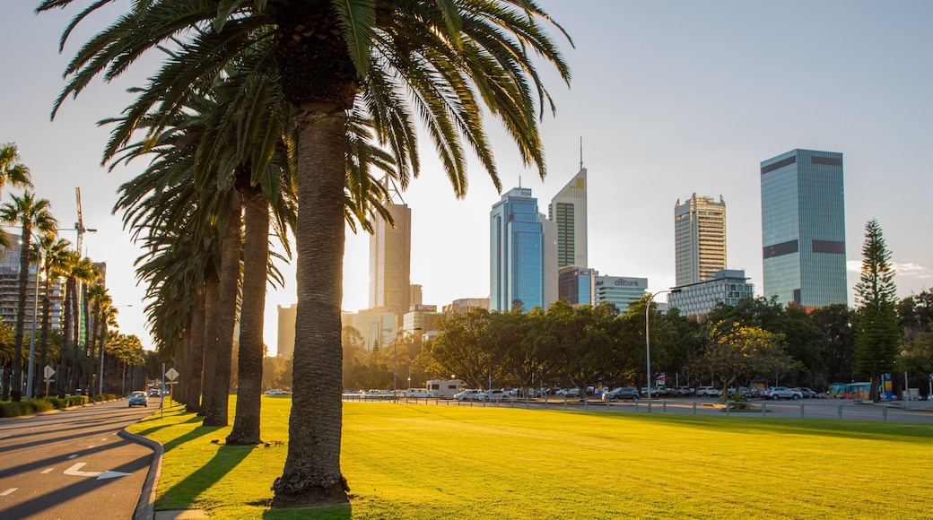 Langley Park which includes a sunset, a city and a park
