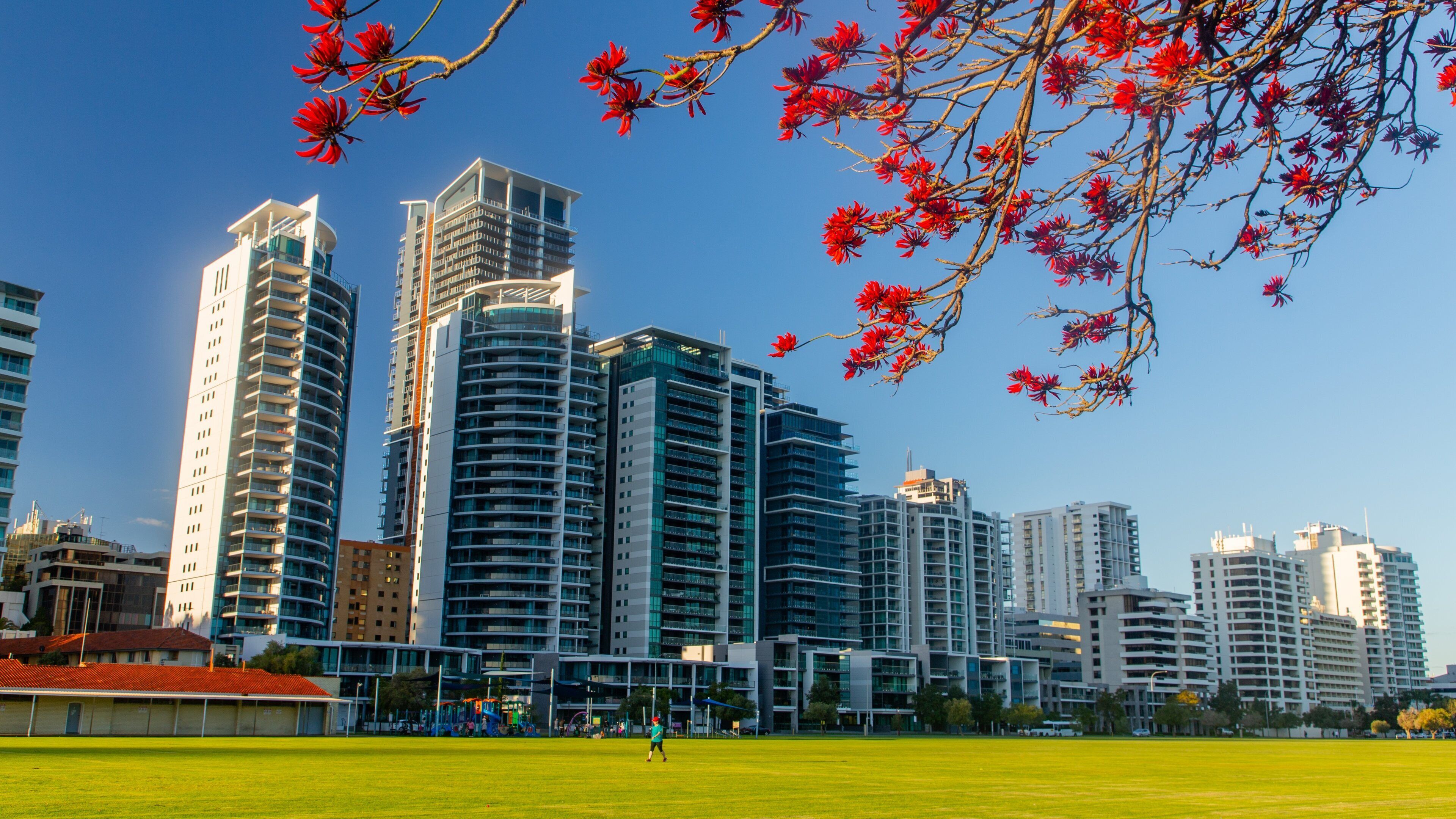 Langley Park featuring wildflowers, a city and a garden