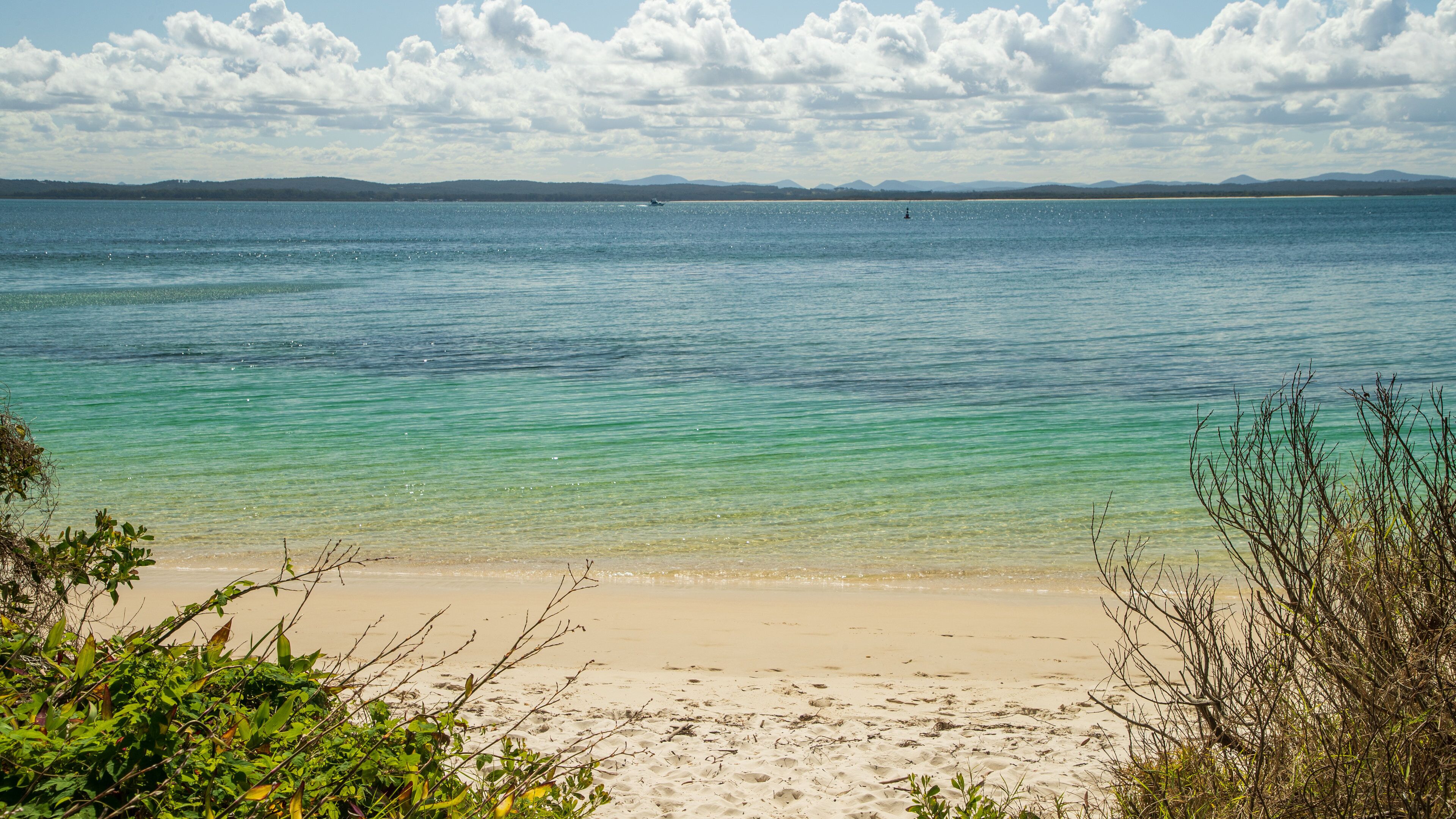 Dutchmans Beach showing a sandy beach and general coastal views