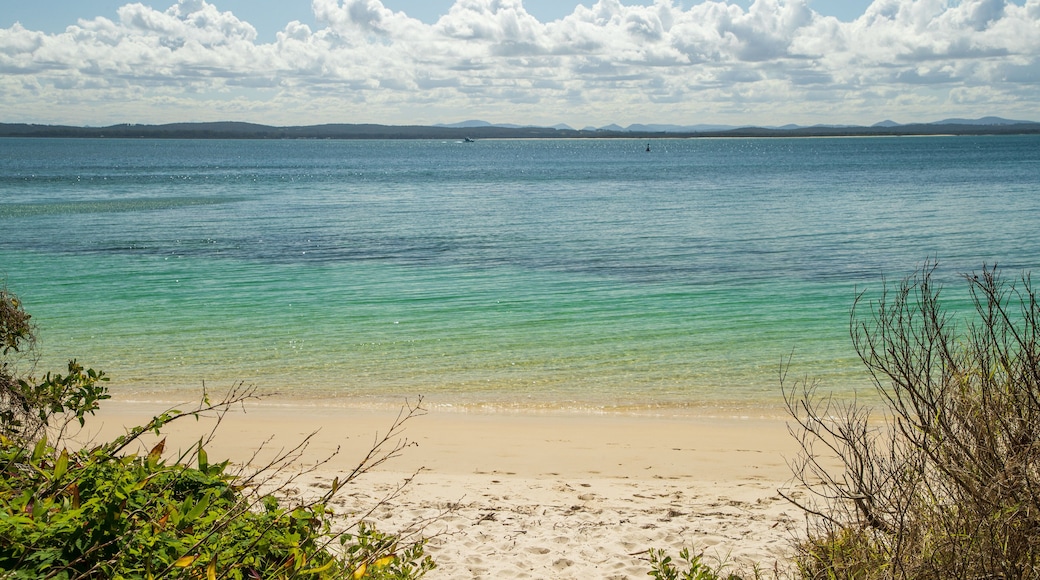 Dutchmans Beach showing a sandy beach and general coastal views