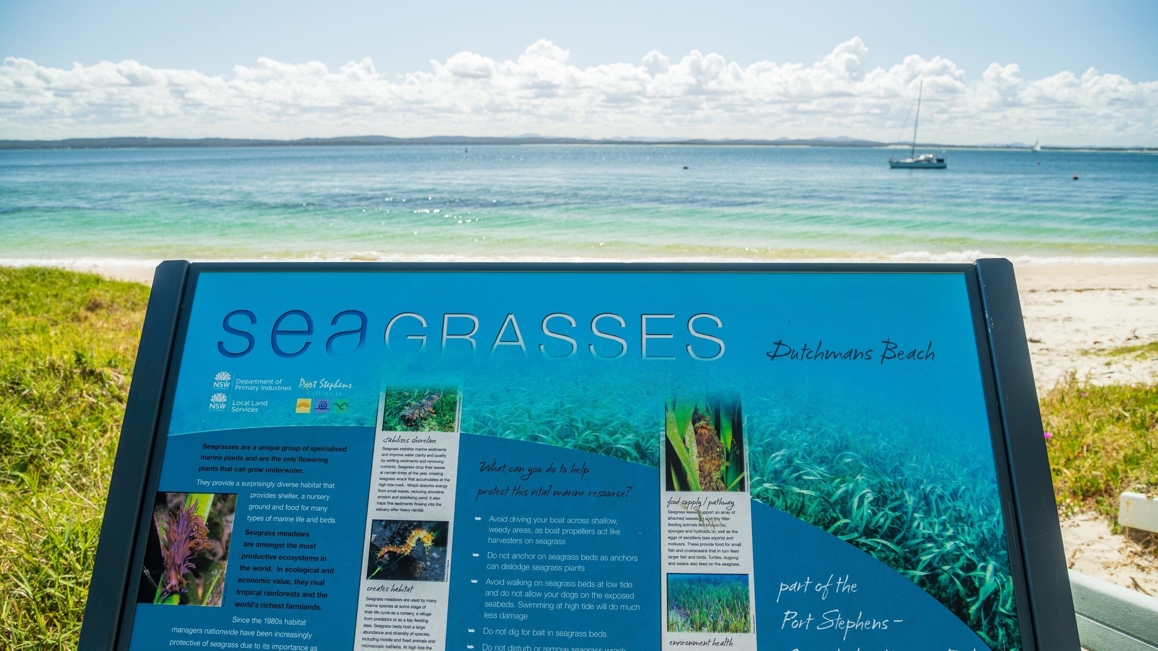 Dutchmans Beach featuring signage, a sandy beach and general coastal views
