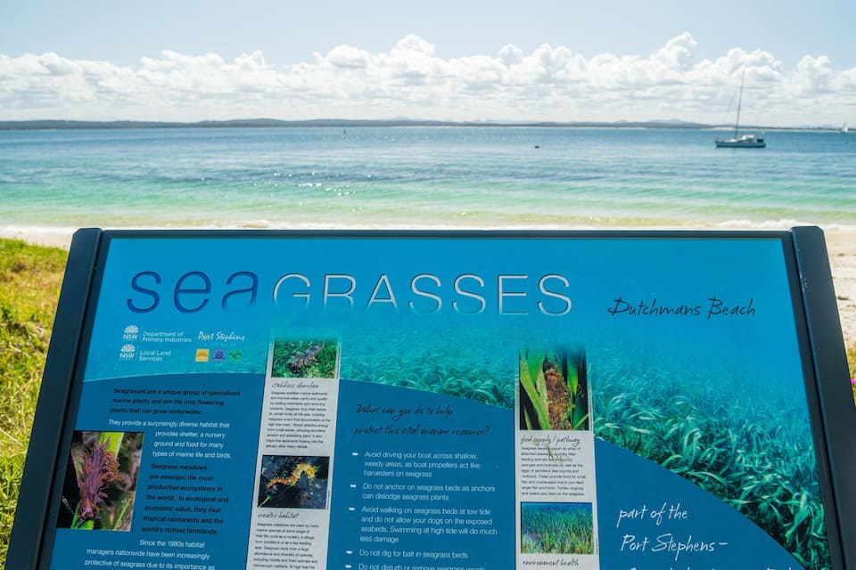 A seagrass sign at Dutchmans Beach with information about seagrasses and their importance.