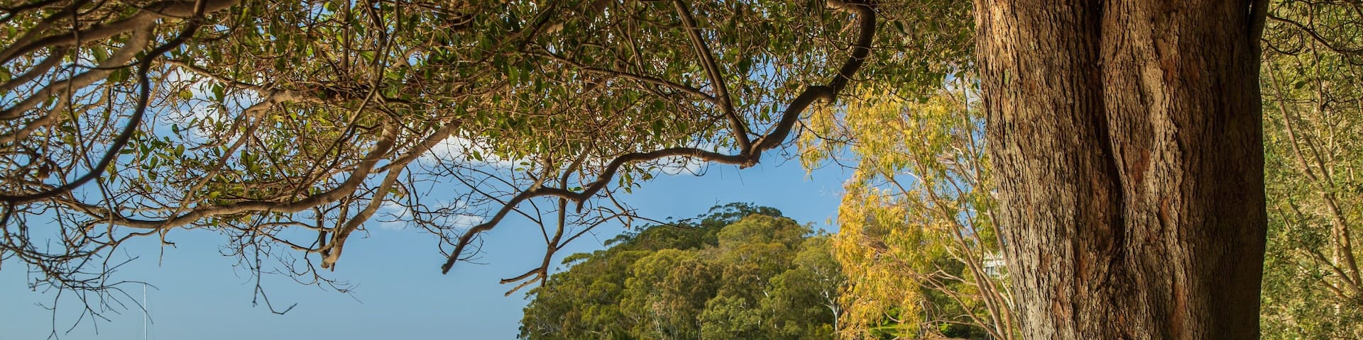 Dutchmans Beach which includes a sandy beach and general coastal views