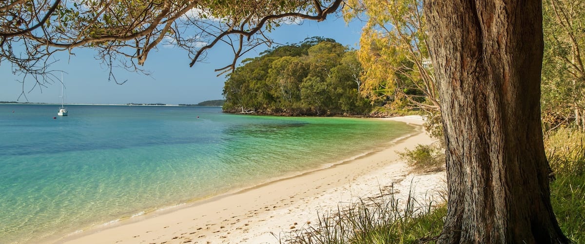 Dutchmans Beach which includes a sandy beach and general coastal views