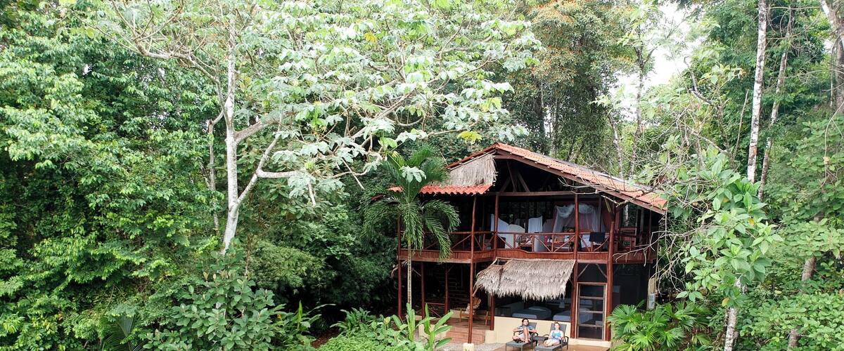 A rustic wooden house surrounded by dense tropical foliage.