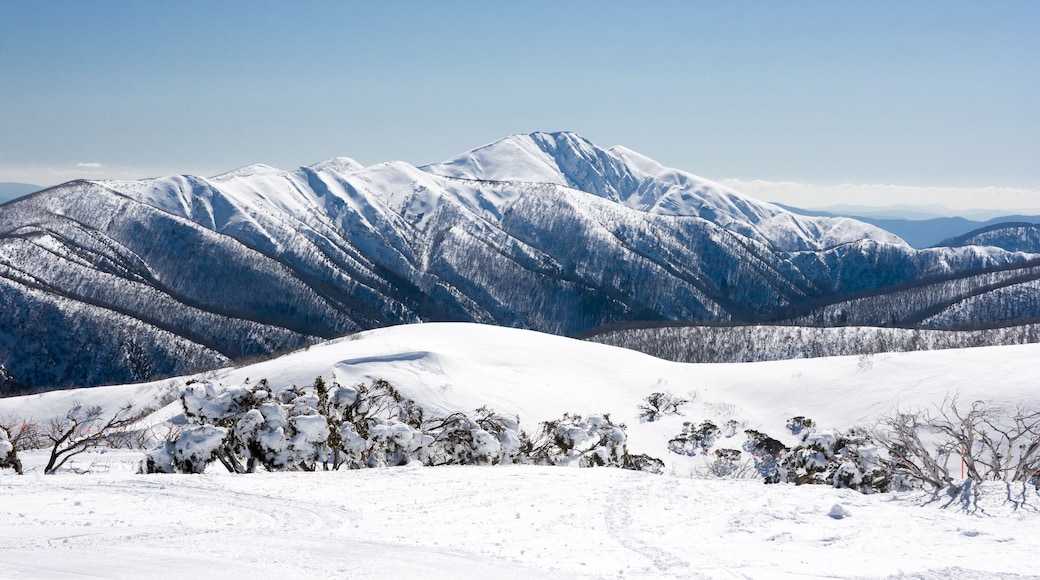 Mont Feathertop